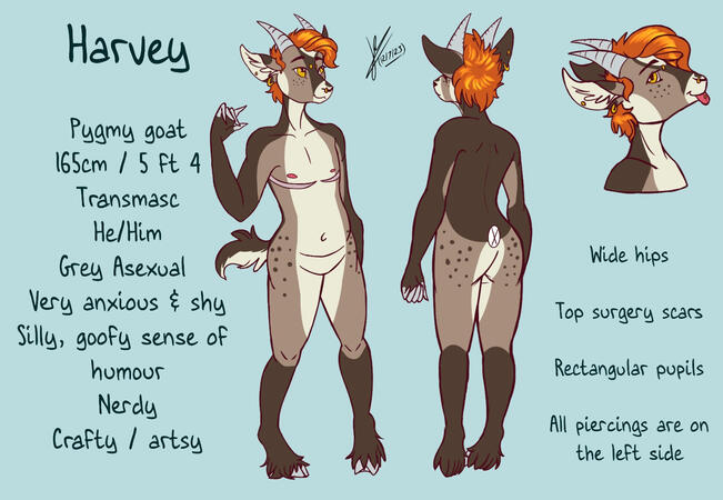 Ref sheet